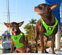 EcoBark Lime Green Step In Dog Harness - Reflective Soft Mesh Harness for Teacup, Small Dogs and Puppies - BIG FRENCHIES