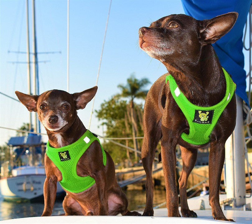 EcoBark Lime Green Step In Dog Harness - Reflective Soft Mesh Harness for Teacup, Small Dogs and Puppies - BIG FRENCHIES
