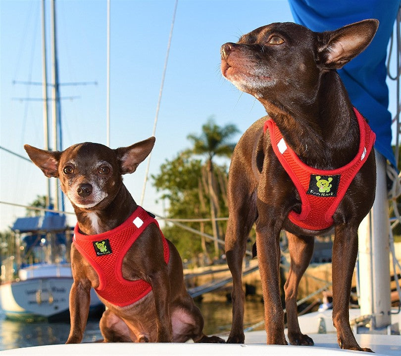 EcoBark Cherry Red Step In Dog Harness - Reflective Soft Mesh Harness for Teacup, Small Dogs and Puppies - BIG FRENCHIES
