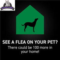 Protect Your Dog from Fleas & Ticks with NEXTSTAR: Fast-Acting 3-Month Supply for Dogs 45-88 Lbs - BIG FRENCHIES