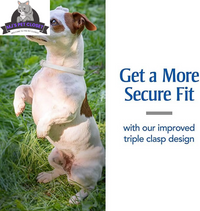 Ultimate Flea & Tick Protection Collar for Dogs - One Size Fits All, Lasts 6 Months - BIG FRENCHIES