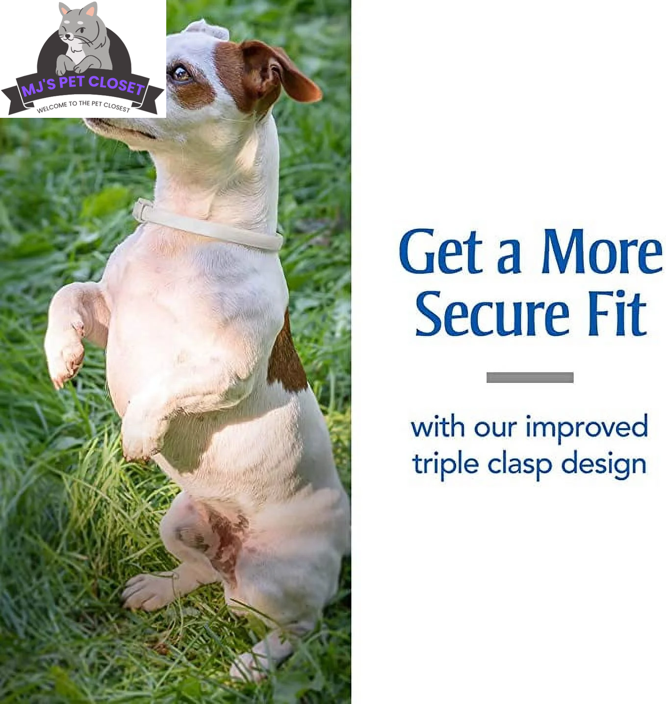 Ultimate Flea & Tick Protection Collar for Dogs - One Size Fits All, Lasts 6 Months - BIG FRENCHIES