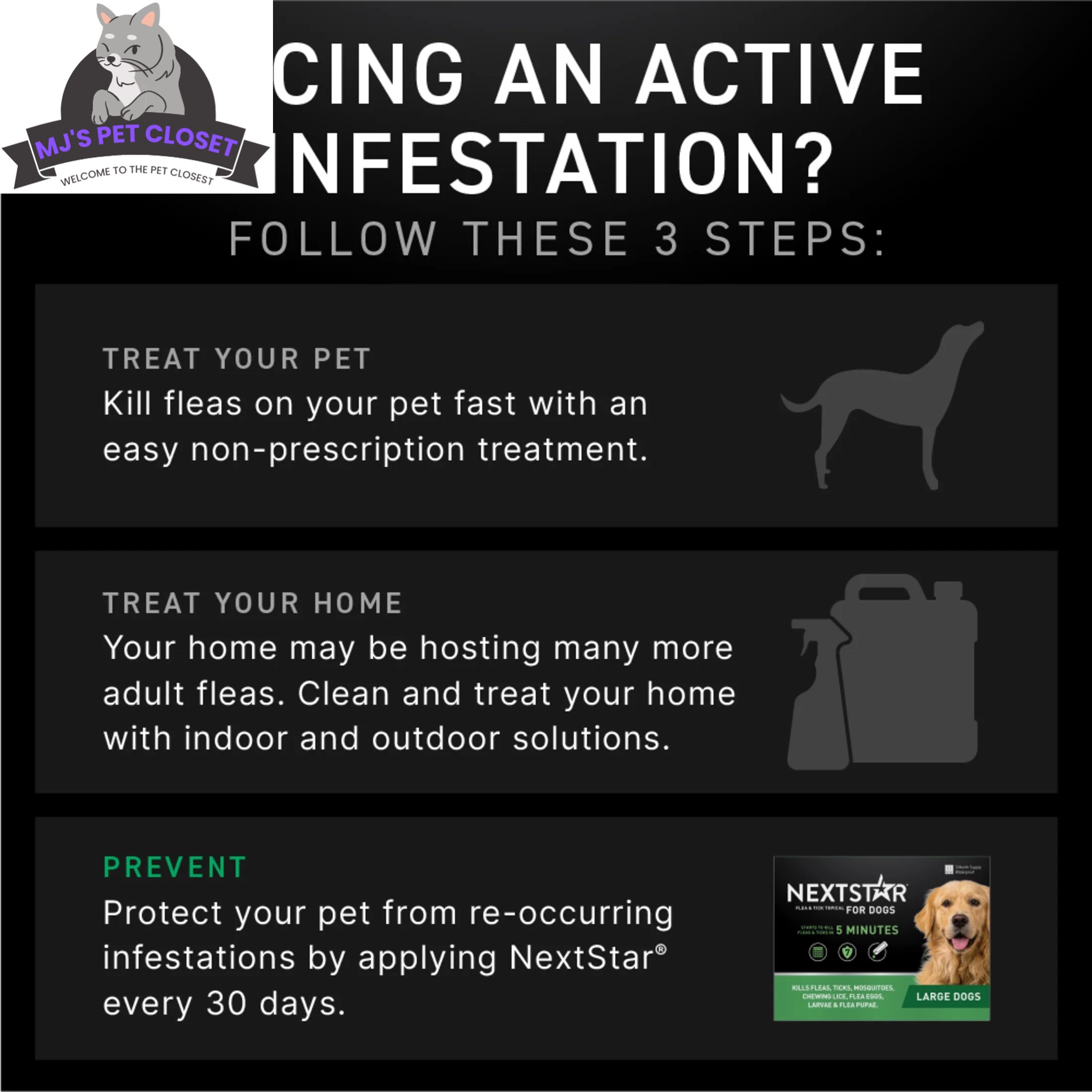 Protect Your Dog from Fleas & Ticks with NEXTSTAR: Fast-Acting 3-Month Supply for Dogs 45-88 Lbs - BIG FRENCHIES
