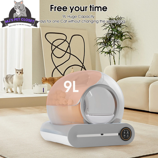 Say goodbye to messy litter! 🐾✨ Meet the Smart Self-Cleaning Litter Box with App Control and Safety Features! Perfect for busy cat parents! 😻📱 - BIG FRENCHIES
