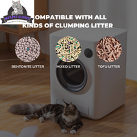 Say goodbye to scooping! 🐾 Meet the Purrclean Self-Cleaning Cat Litter Box – now with app control and 5Ghz & 2.4Ghz Wifi support! 🐱✨ - BIG FRENCHIES