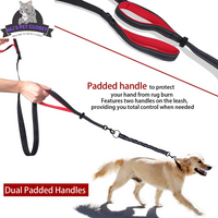 Walk Your Dogs in Style! 🐾✨ Check Out Our 360° Swivel Double Dog Leash - No Tangles, Maximum Comfort! Perfect for Two Pups Up to 200lbs! 🐶❤️ - BIG FRENCHIES