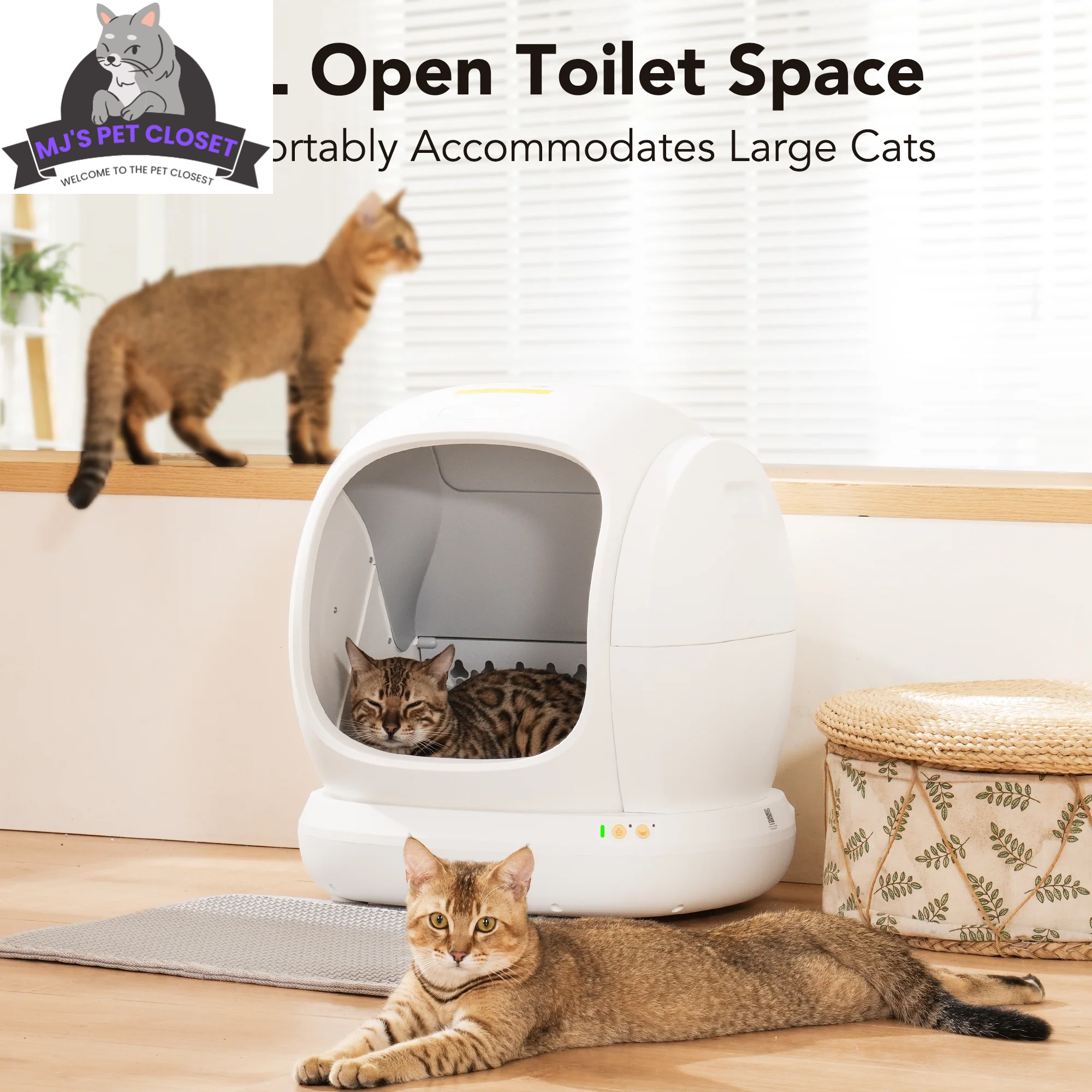 Say goodbye to messy litter boxes! Meet the Smart Self-Cleaning Cat Litter Box with APP Control and Safety Features! 🐾✨ #CatLovers #SmartHome - BIG FRENCHIES