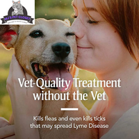 Ultimate Flea & Tick Protection Collar for Dogs - One Size Fits All, Lasts 6 Months - BIG FRENCHIES