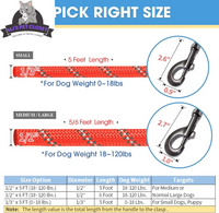 Upgrade your walks with our 2-Pack 5/6 FT Dog Leashes! 🐾✨ Featuring comfy padded handles and reflective threads for safety, perfect for all dog sizes! 🐶❤️ - BIG FRENCHIES