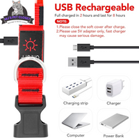 Brighten up your pup's night walks with our adjustable LED Dog Collar! 🌟 USB rechargeable & super safe! 🐾❤️ - BIG FRENCHIES