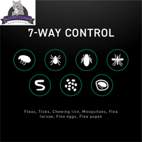 Protect Your Dog from Fleas & Ticks with NEXTSTAR: Fast-Acting 3-Month Supply for Dogs 45-88 Lbs - BIG FRENCHIES
