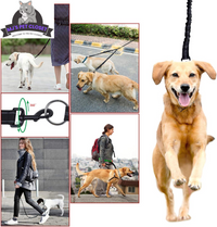 Walk Your Dogs in Style! 🐾✨ Check Out Our 360° Swivel Double Dog Leash - No Tangles, Maximum Comfort! Perfect for Two Pups Up to 200lbs! 🐶❤️ - BIG FRENCHIES