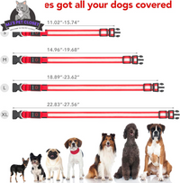 Brighten up your pup's night walks with our adjustable LED Dog Collar! 🌟 USB rechargeable & super safe! 🐾❤️ - BIG FRENCHIES