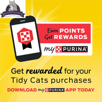 Say goodbye to messy litter boxes! 🐾✨ Check out Purina Multi Cat Low Dust Clumping Cat Litter - Lightweight & Powerful 4-in-1 Strength in a 17 lb box! Perfect for multi-cat households! 🐱❤️ - BIG FRENCHIES