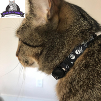 Cute & Stylish Breakaway Cat Collars! 🐾🎀 2-pack in Pink & Black Skull Design, Perfect for Your Fashionable Feline! 💖🐱 - BIG FRENCHIES