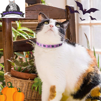 Cute & Stylish Breakaway Cat Collars! 🐾🎀 2-pack in Pink & Black Skull Design, Perfect for Your Fashionable Feline! 💖🐱 - BIG FRENCHIES