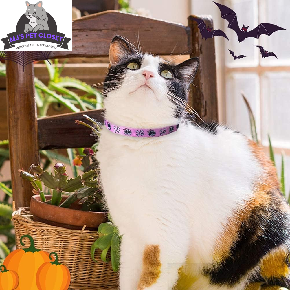 Cute & Stylish Breakaway Cat Collars! 🐾🎀 2-pack in Pink & Black Skull Design, Perfect for Your Fashionable Feline! 💖🐱 - BIG FRENCHIES
