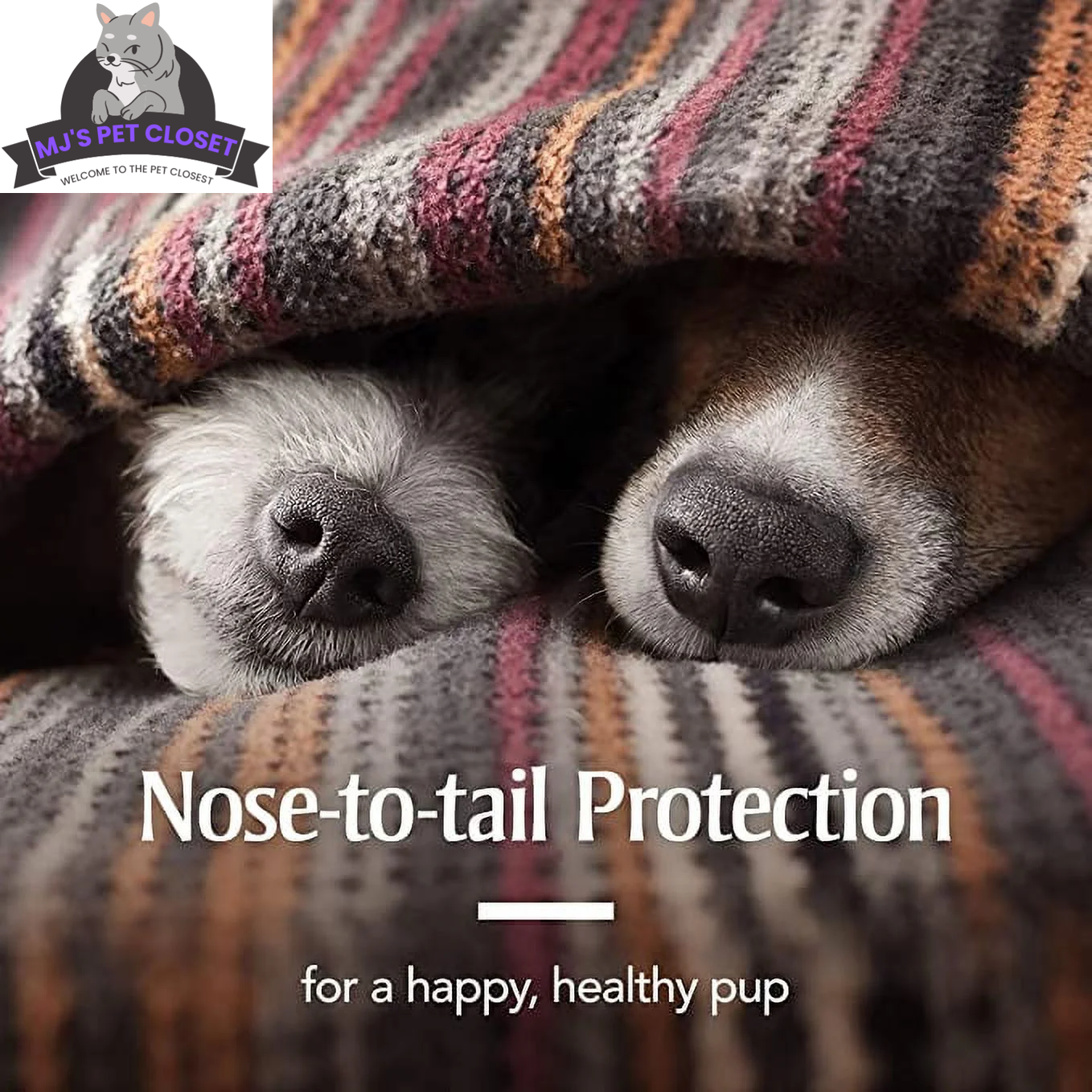 Ultimate Flea & Tick Protection Collar for Dogs - One Size Fits All, Lasts 6 Months - BIG FRENCHIES