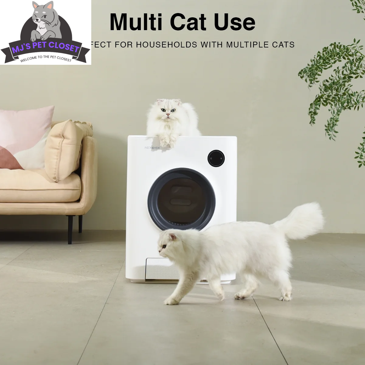 Say goodbye to scooping! 🐾 Meet the Purrclean Self-Cleaning Cat Litter Box – now with app control and 5Ghz & 2.4Ghz Wifi support! 🐱✨ - BIG FRENCHIES