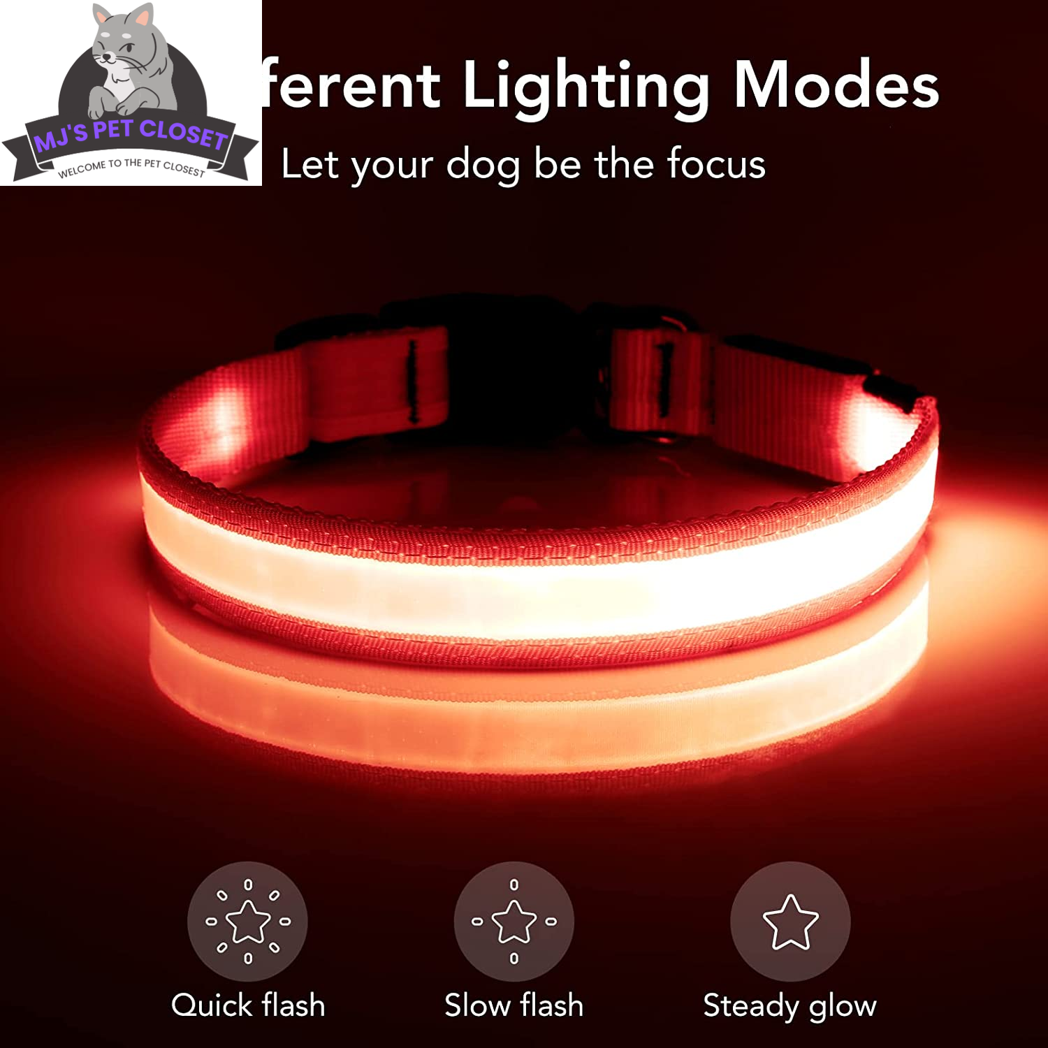 Brighten up your pup's night walks with our adjustable LED Dog Collar! 🌟 USB rechargeable & super safe! 🐾❤️ - BIG FRENCHIES