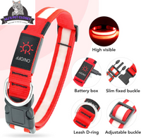 Brighten up your pup's night walks with our adjustable LED Dog Collar! 🌟 USB rechargeable & super safe! 🐾❤️ - BIG FRENCHIES