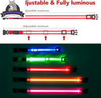 Brighten up your pup's night walks with our adjustable LED Dog Collar! 🌟 USB rechargeable & super safe! 🐾❤️ - BIG FRENCHIES