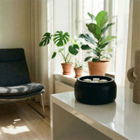 Natural Vanilla Orchid Wax Melt Tarts