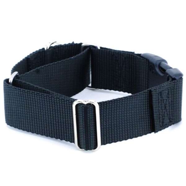 1.5″ Nylon Buckle Martingale Dog Collars (Multiple Color Options)-Pet Collars & Leashes-BIG FRENCHIES-2 Hounds Design