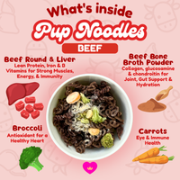 Pup Noodles™ – Beef