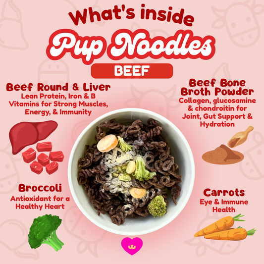Pup Noodles™ – Beef