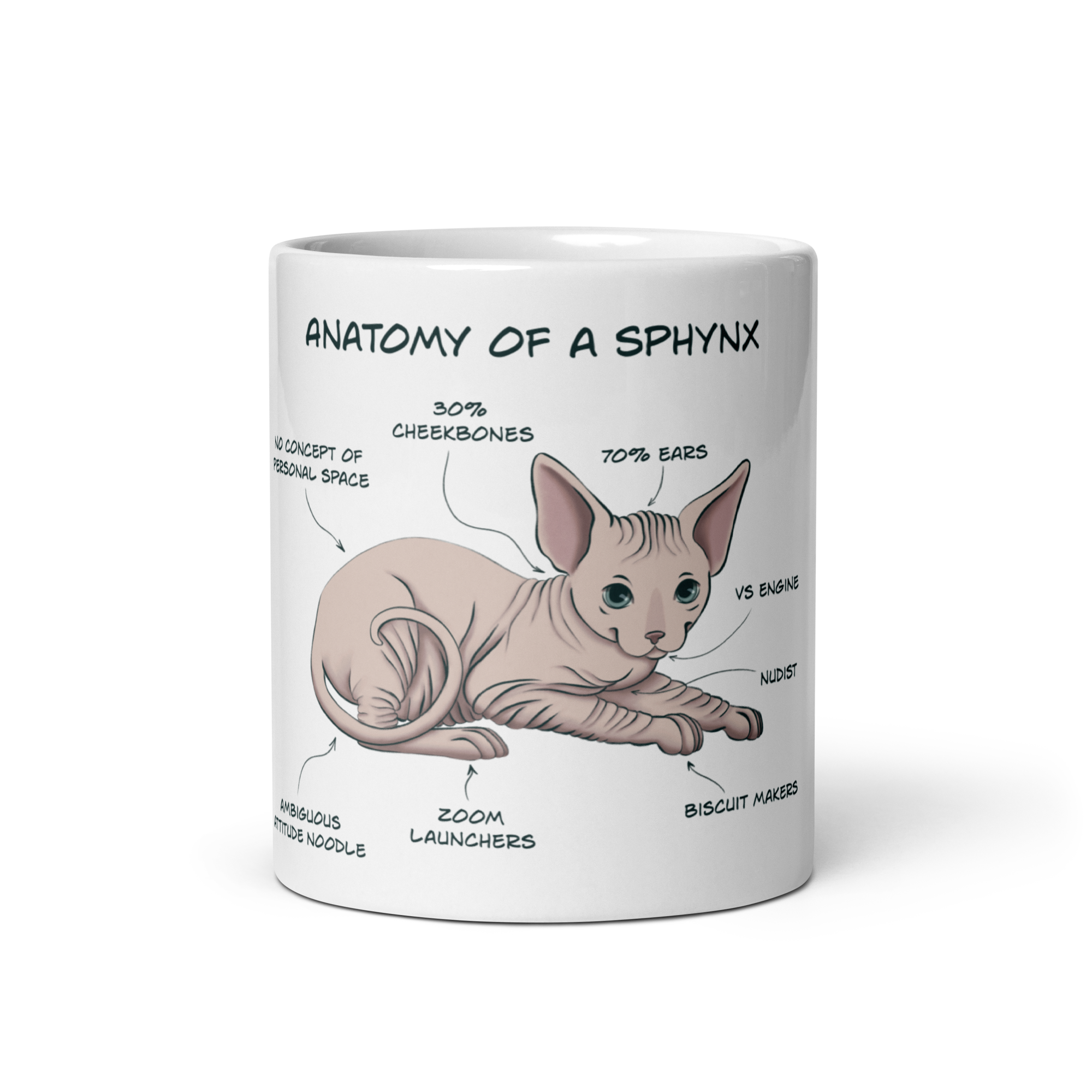 "ANATOMY OF A SPHYNX CAT" COFFEE MUG