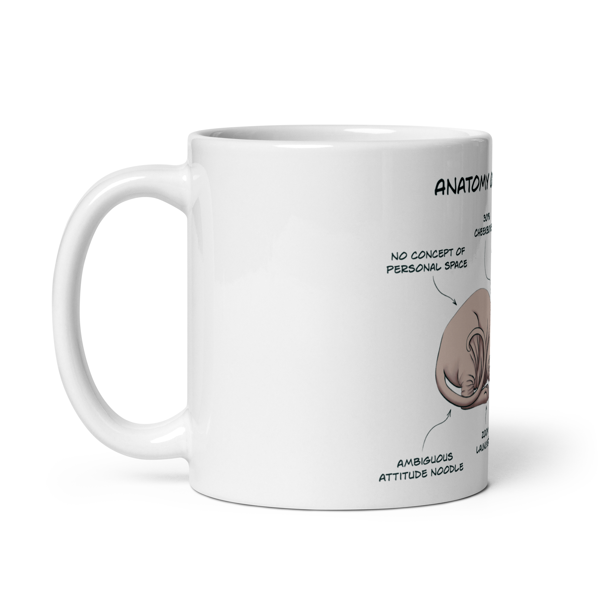 "ANATOMY OF A SPHYNX CAT" COFFEE MUG