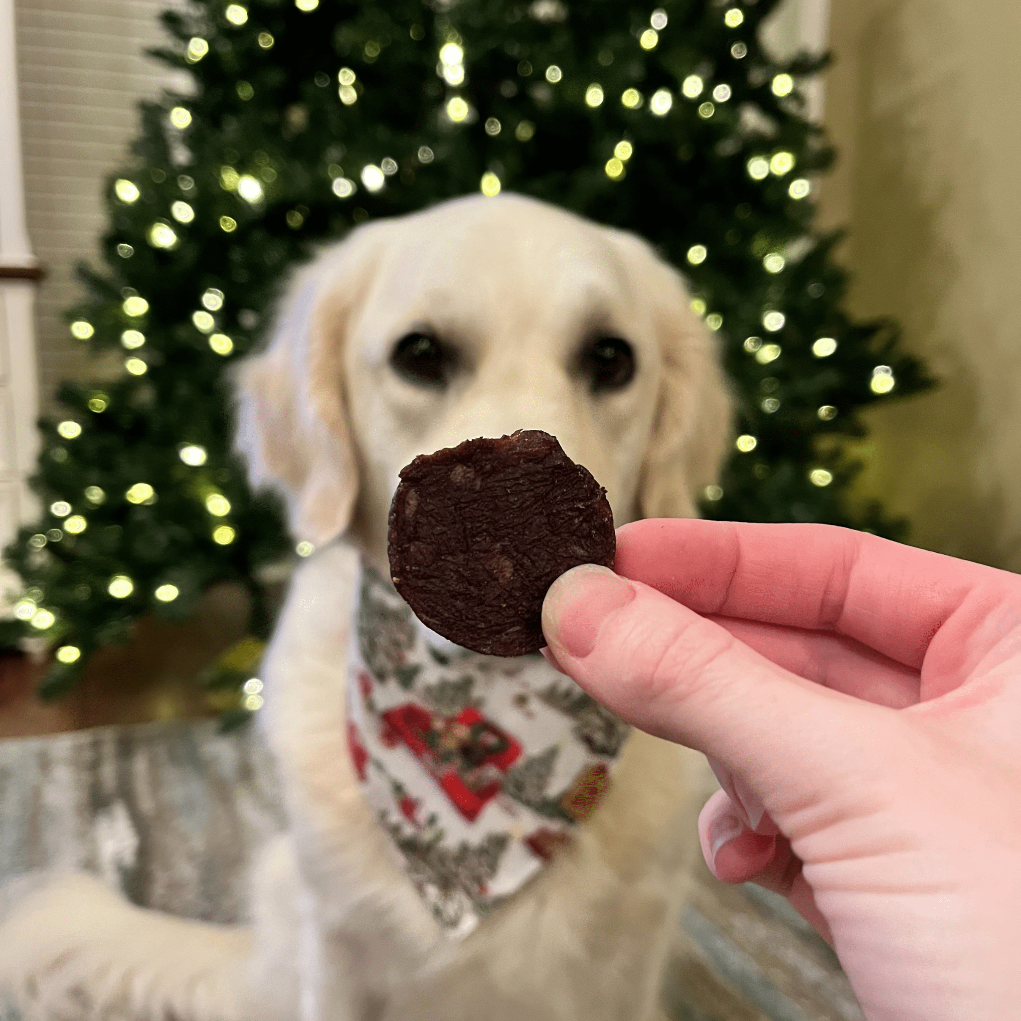 Farm to Pet E-Gift Card