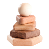 Wooden stacking toy in different shapes from 5 types of wood