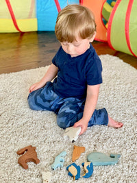 Waldorf Wooden Arctic Animals - Set of 8 Hand-Painted Polar Animals