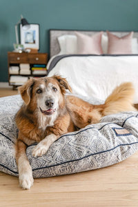 Round Pet Bed in Sapphire Spaniel - BIG FRENCHIES