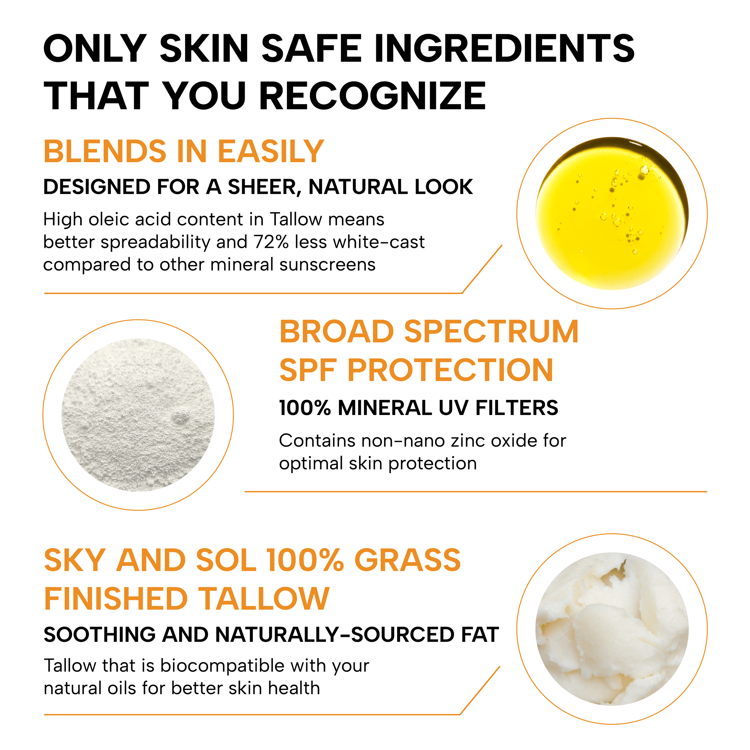 Sky and Sol Face & Body Sunscreen - BIG FRENCHIES