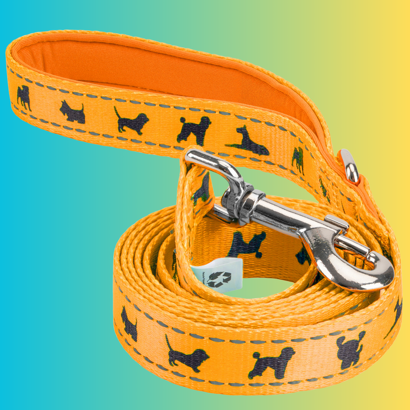 EcoBark Yellow Dog Leash- Padded Comfort Grip Padded Leash Dog Pattern - 4ft, 5ft, and 6ft Leash for Small and Medium Dogs - BIG FRENCHIES